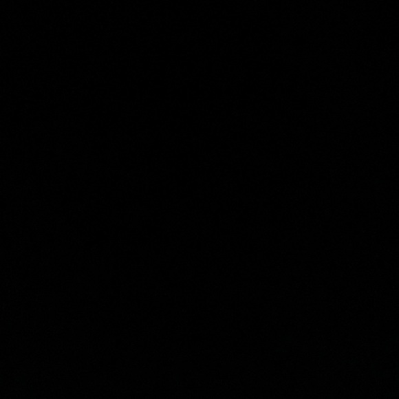 Green Packers Reebok Winter Coat - Picture 4 of 4